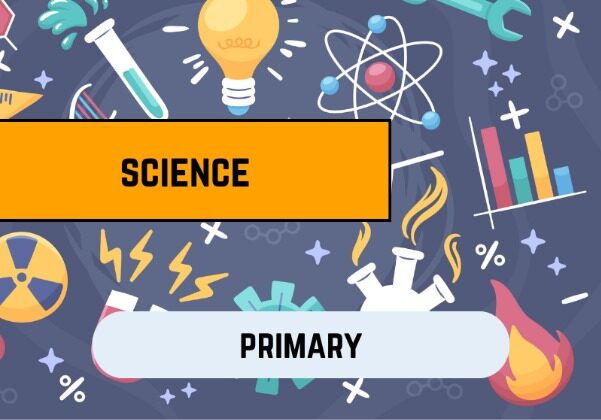 Science Primary Pic Science Primary Pic